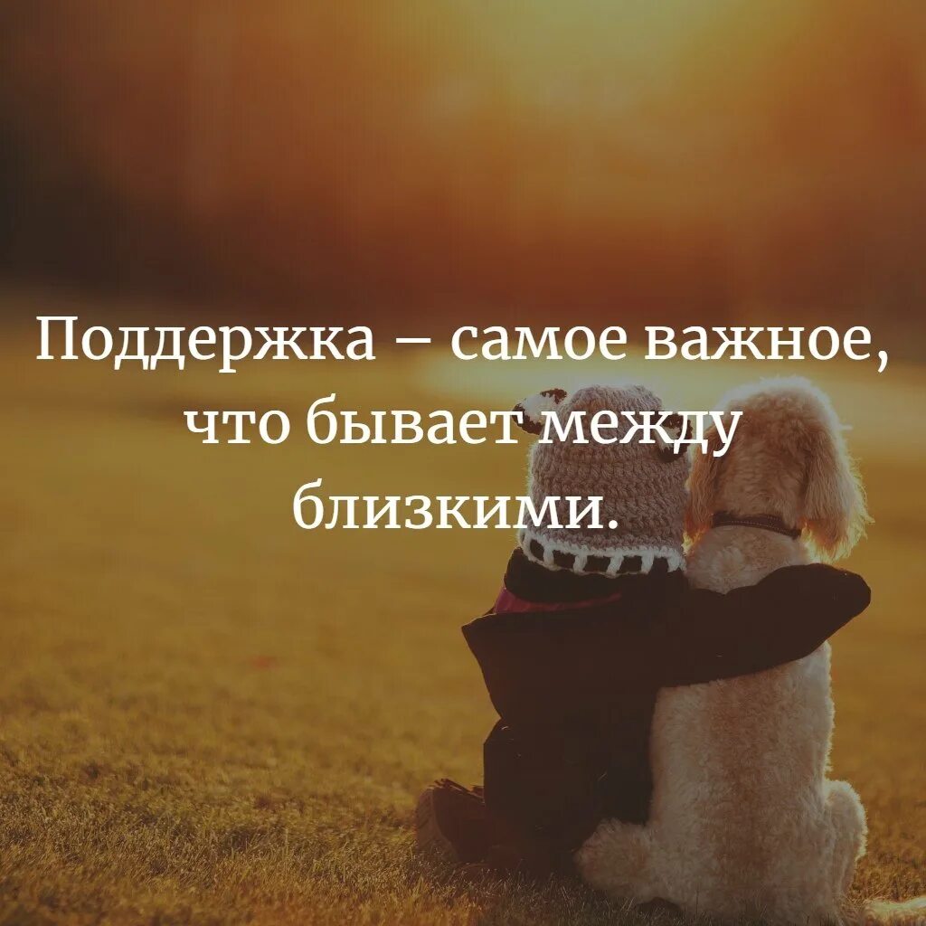 Фразы поддержки