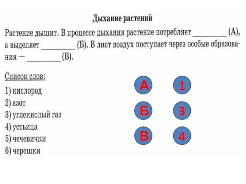 Биология впр 8 класс концентрическая программа ответы. ВПР биология 6 класс. ВПР по биологии. Биология 6 класс 2018г. ВПР биологии шестой класс.