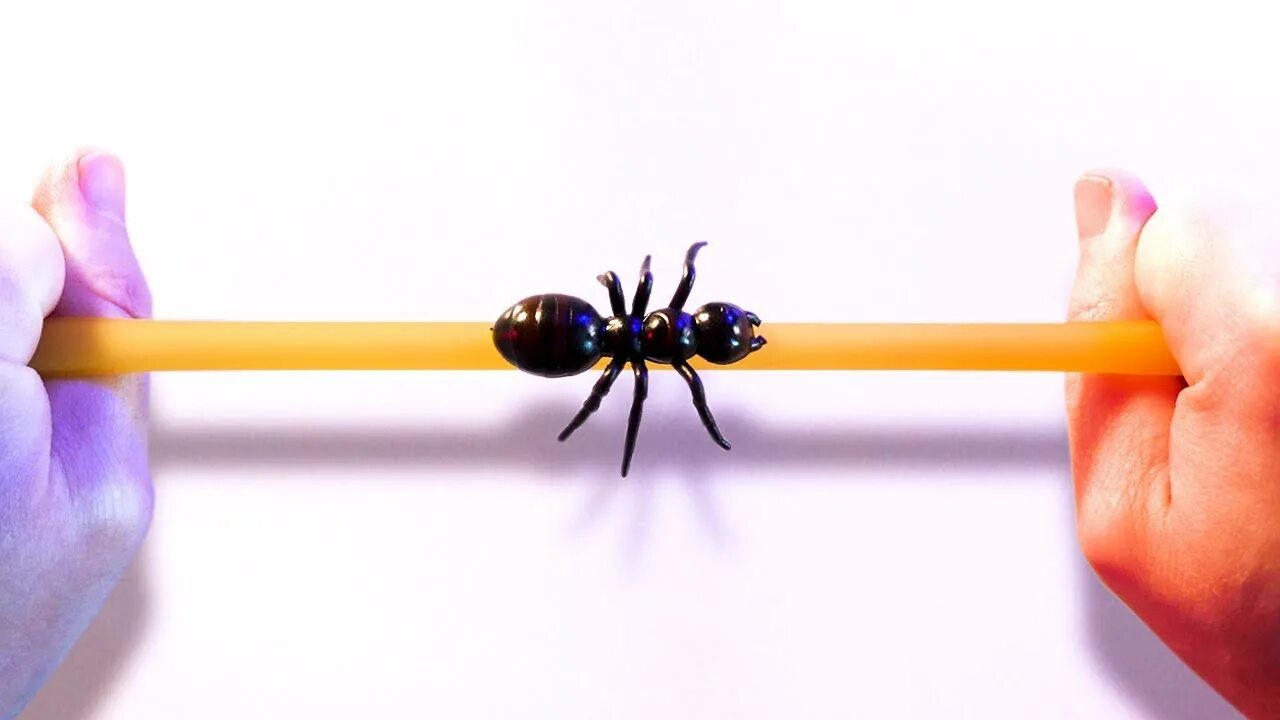 Набери; парадокс жука на резиновом тросе. Ant on a String. Ant on off. Висос