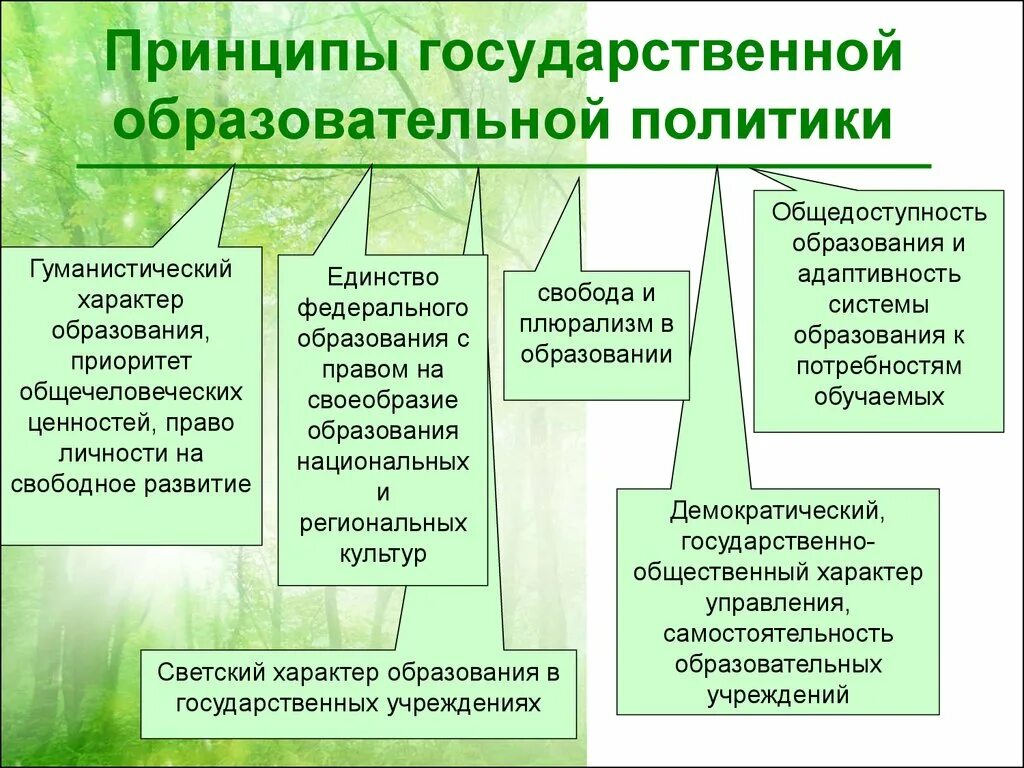 Государственная целевая политика в области образования. Принципы государственной политики в образовании. Принципы гос политики в образовании. Принципы государственной образовательной политики. Современная образовательная политика.