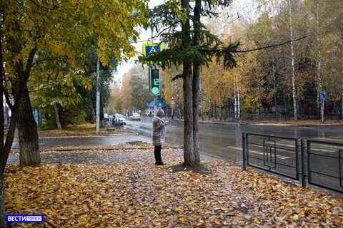 Шел томск