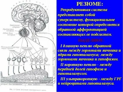 Система представляет собой устройство
