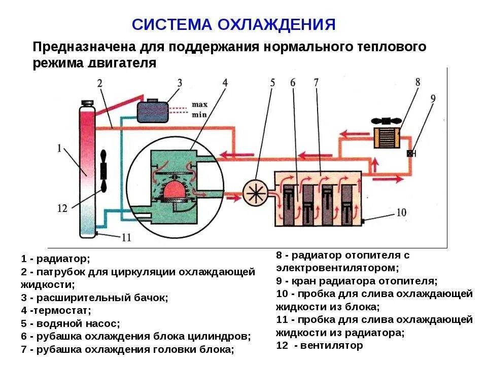 Как работает охладитель. Система охлаждения ДВС схема. Принципиальная схема системы охлаждения двигателя. Схема жидкостной системы охлаждения ДВС. Система охлаждения автомобиля схема.