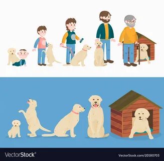 Old pet