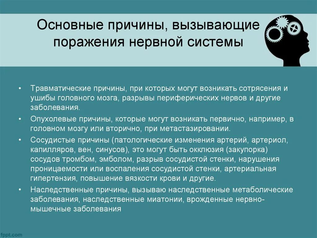 Можно ли считать все причины вызывающие. Причины вызывающие поражения нервной системы. Основные причины вызывающие поражения нервной системы. Профилактика заболеваний нервной системы. Заболевания нервной системы и их профилактика.