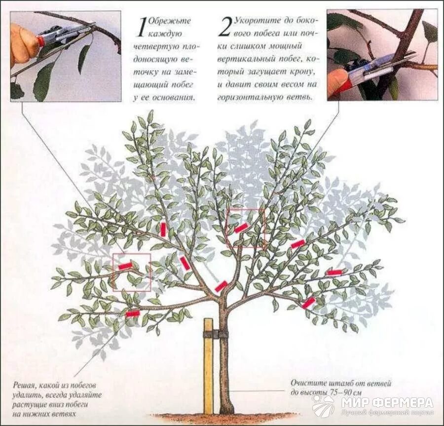 Можно ли формировать