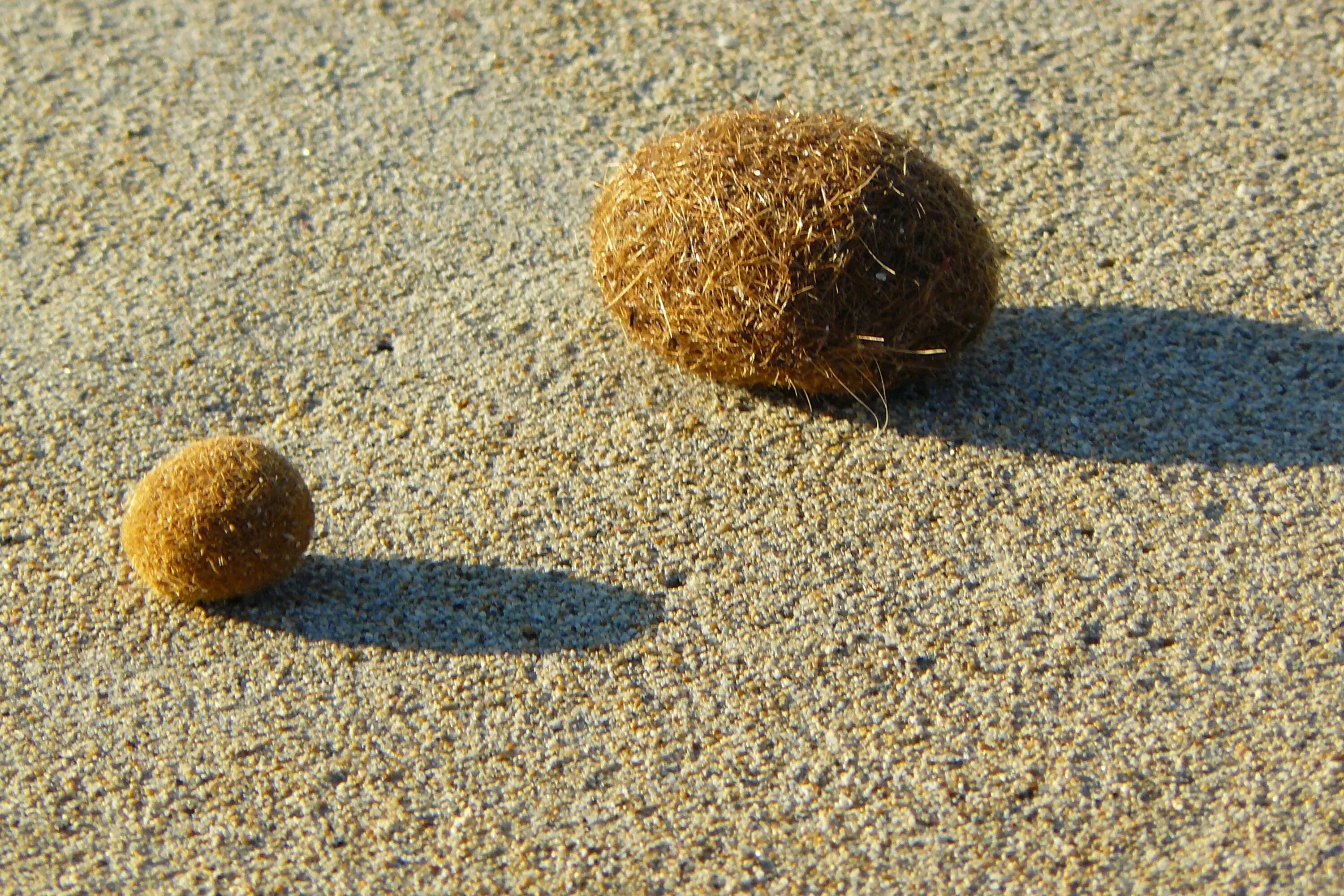 Sunned balls. Песок. Шарик из песка. Шарик с песком. Песочный мяч.