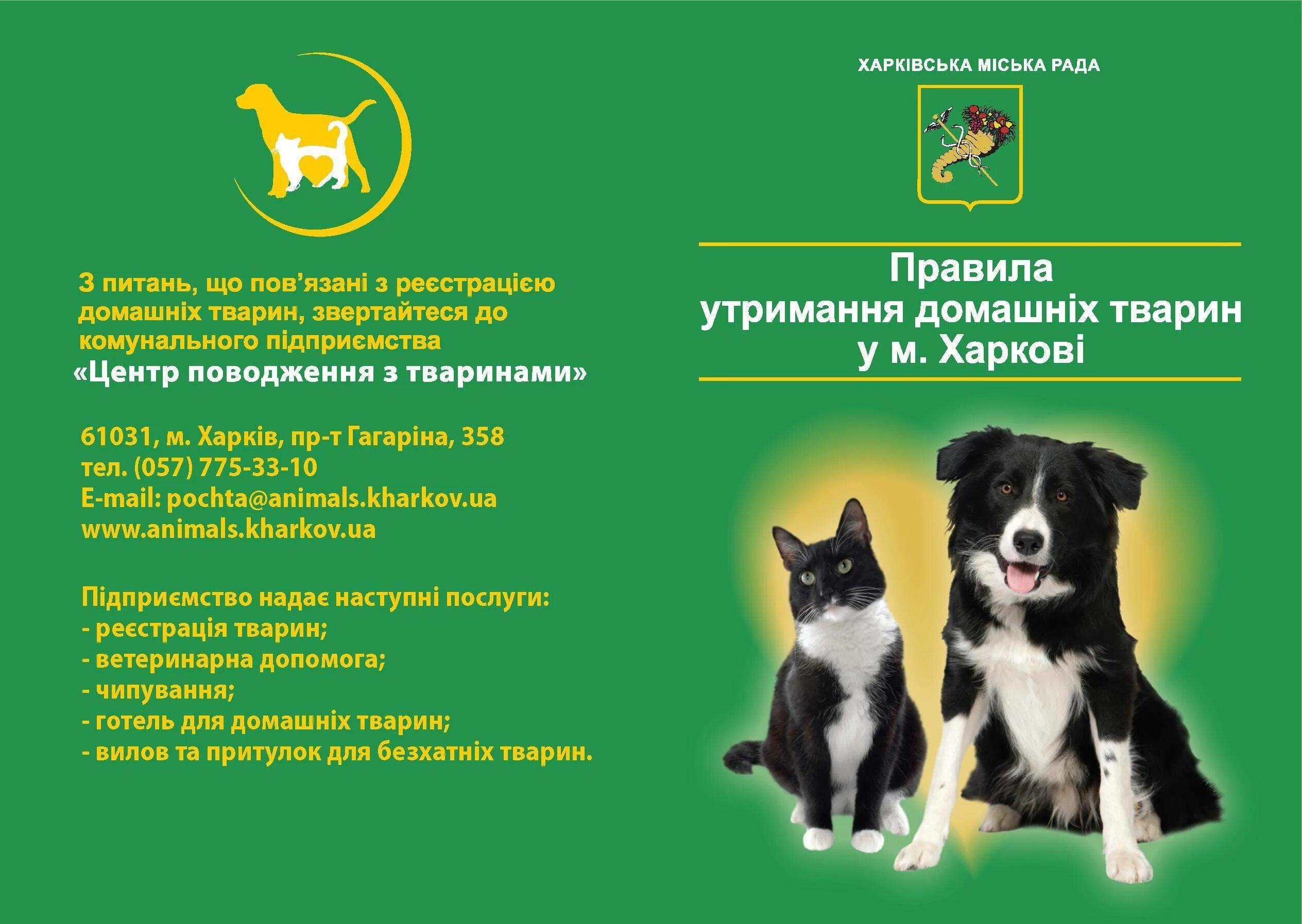 Ненадлежащее содержание собак. Правила содержания собак и кошек.