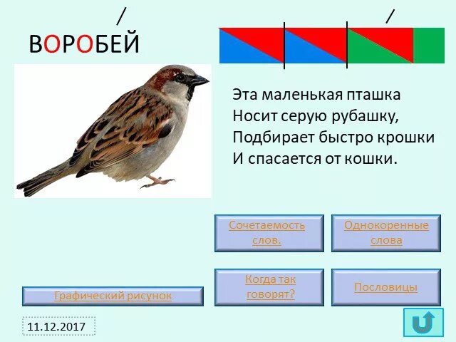 Воробей влетел в окно схема предложения. Воробей влетел в окно схема предложения