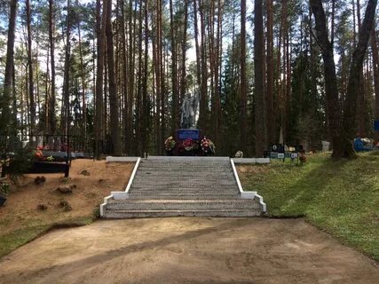 Селезни велижский