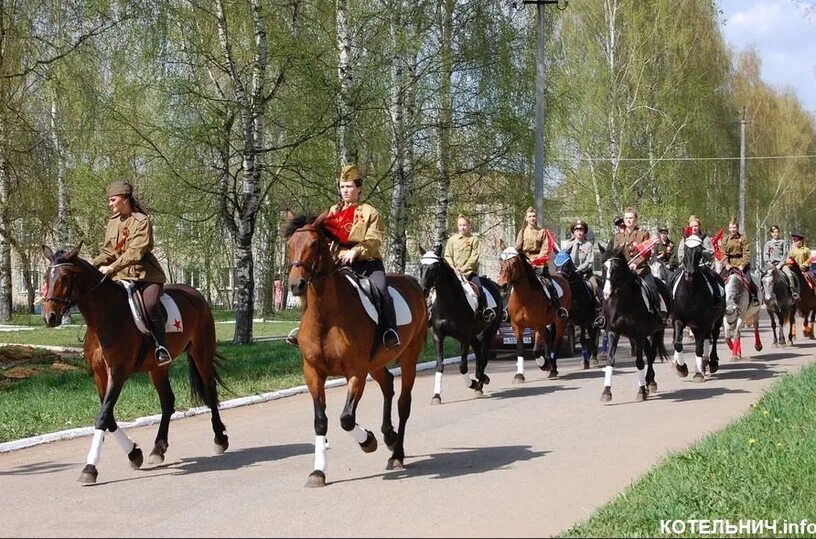 Конный двор Куликово поле. Конный парад. Парад лошадей. Конный парад 9 мая.