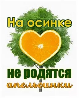Пословица от осинки