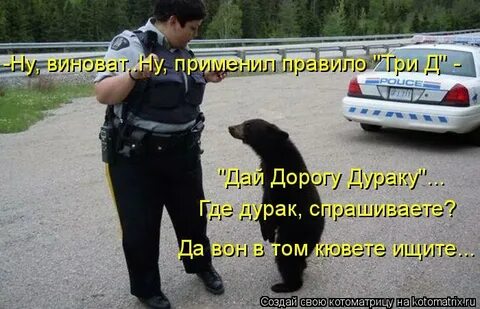 Да вон видишь