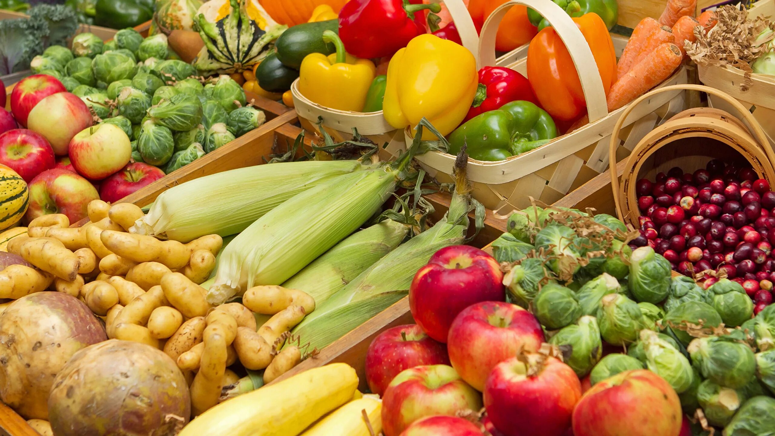 Основы сельскохозяйственной продукции