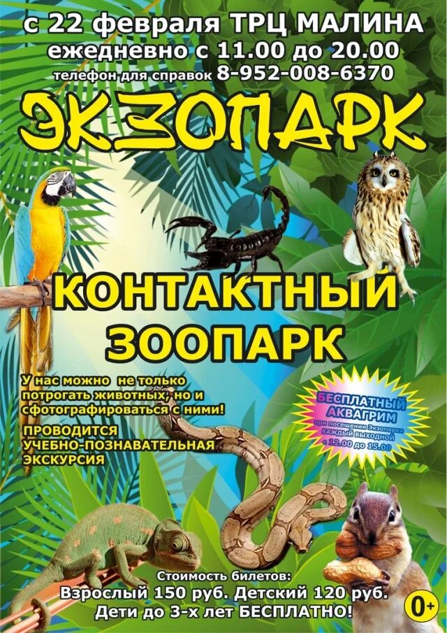 Билеты в зоопарк спб. Зоопарк в ТРЦ Рио Санкт-Петербург. Экзопарк в Рио Санкт-Петербург. Экзопарк в ТРЦ Рио. Зоопарк в Рио на Фучика.