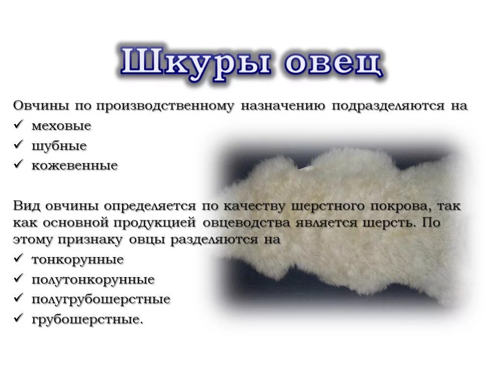 Виды овчины. Овчина характеристика. Продукция овцеводства шерсть. Овцеводство основная продукция.