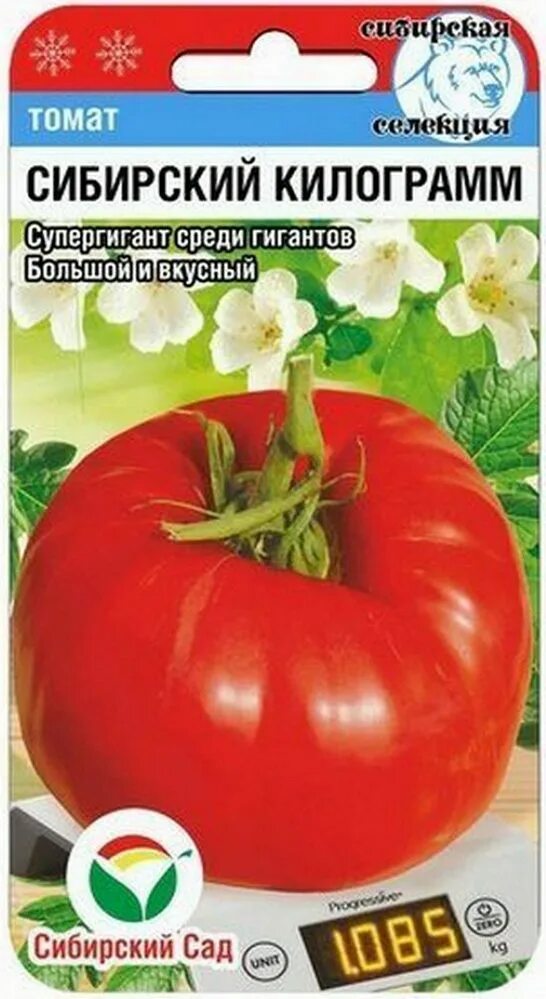 Сибирский килограмм отзывы. Сибирская коллекция помидоры семена. Сорт томата сибирский килограмм. Сорт томата сибирский килограмм. Килограмм помидоров.