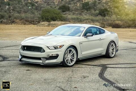 Grey ford