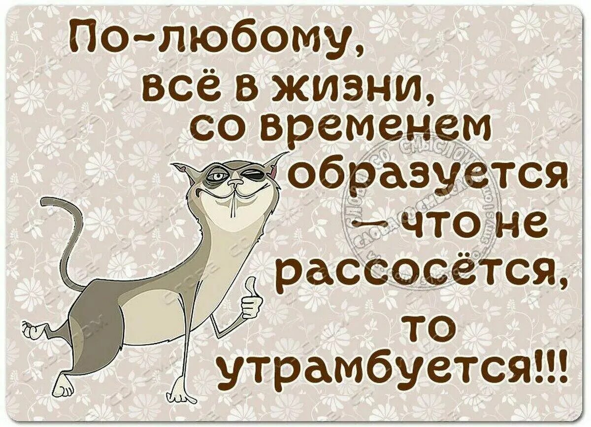 Остроумные цитаты про. Афоризмы про жизнь с юмором. смешные цитаты. мемные цитаты. афоризмы про жизнь смешные.