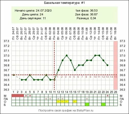 36 8 утром. Базальная температура на 24 день цикла. Базальная температура 36.8. На 19 день цикла БТ 36,6. 30 ДЦ БТ 37 базальная температура.
