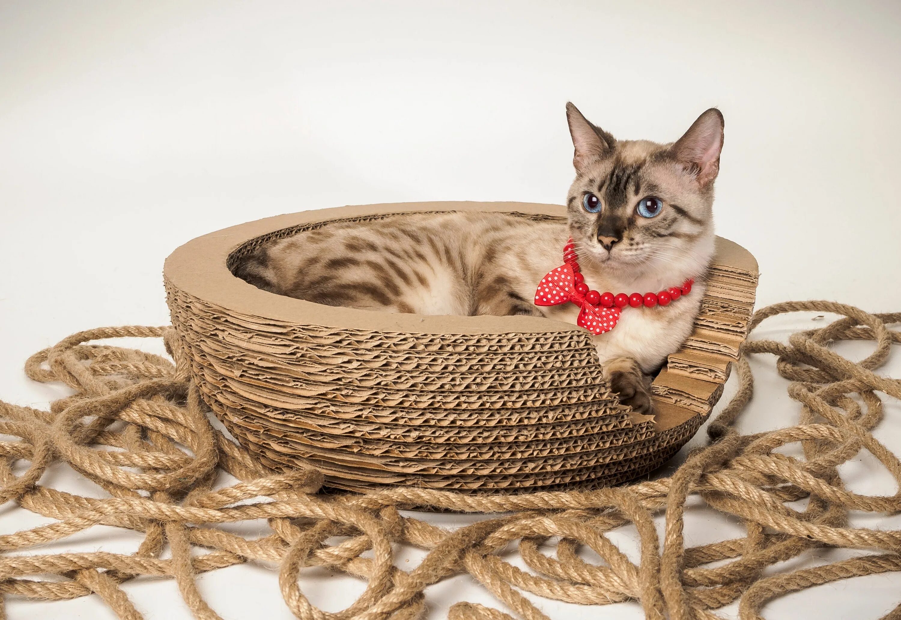 Лежанка из джута. Лежанка cat home hive xl. лежак для кошки из джута. плетеная лежанка для кошки. домик для кошки из джута.