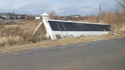 Токио елань волгоградская область