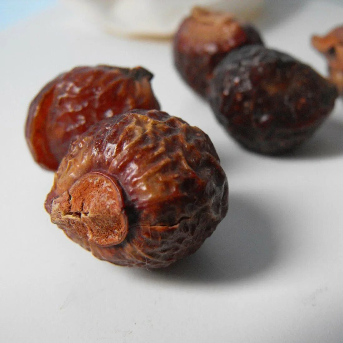 Моющие орехи купить. Sapindus Mukorossi. Мыльные орехи сапиндус Мукоросси. Мыльный орех Ритха. Мыльный орех дерево.