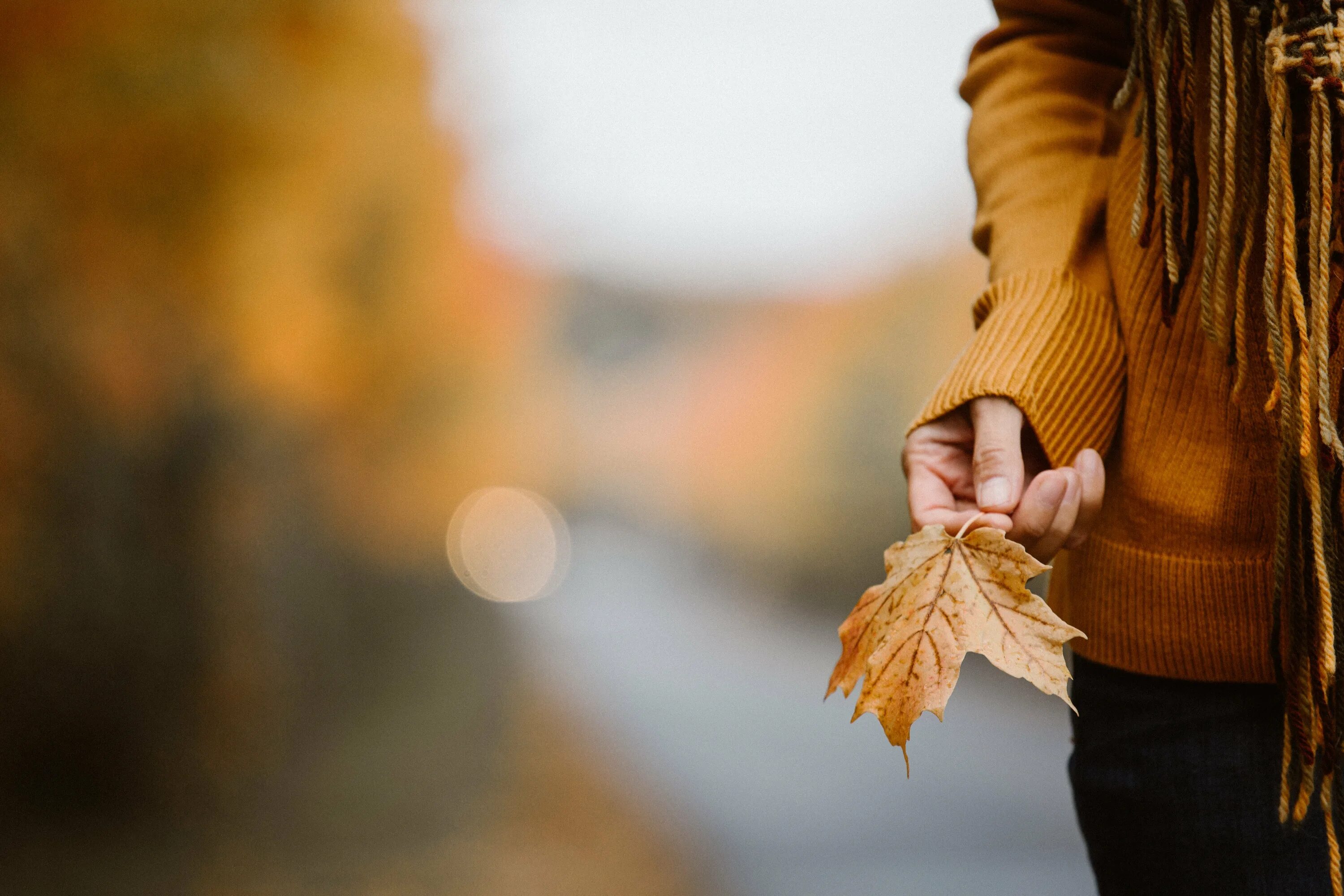 Трогательная осень. Девушка осень. Осенние листья в руках девушки. Осень девушка со спины. Девушка осенью со спины.