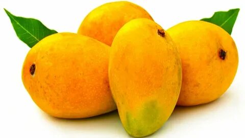 Mango bill