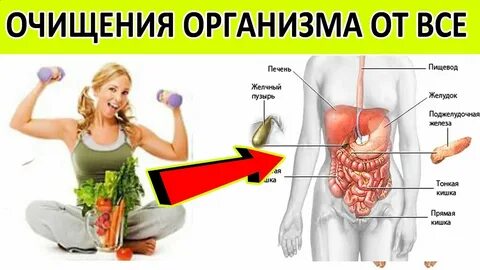 Шлаки в организме