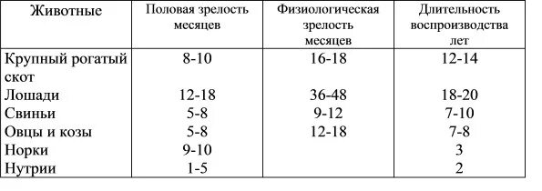 В каком возрасте наступает зрелость. В каком возрасте наступает зрелость
