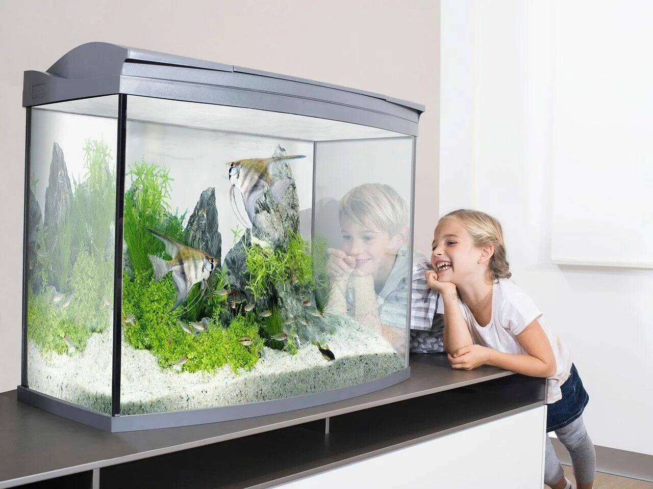 Аквариум с чего начать. Aquarium 70x35x35. рыбки для аквариума. небольшой аквариум с рыбками. домашние аквариумы.