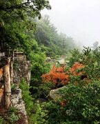 Instagram'da Mohonk Mountain House: "The good kind of lost in the woods! 🌲 😍 ⛰ 📷: @stevielynn_photos . . #mohonkmountainhou