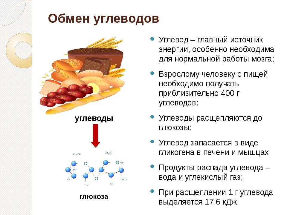 Функции обмена углеводов. Обмен углеводов схема. Обменные процессы углеводов в организме. Схема углеводного обмена в организме. Углеводный обмен веществ в организме.