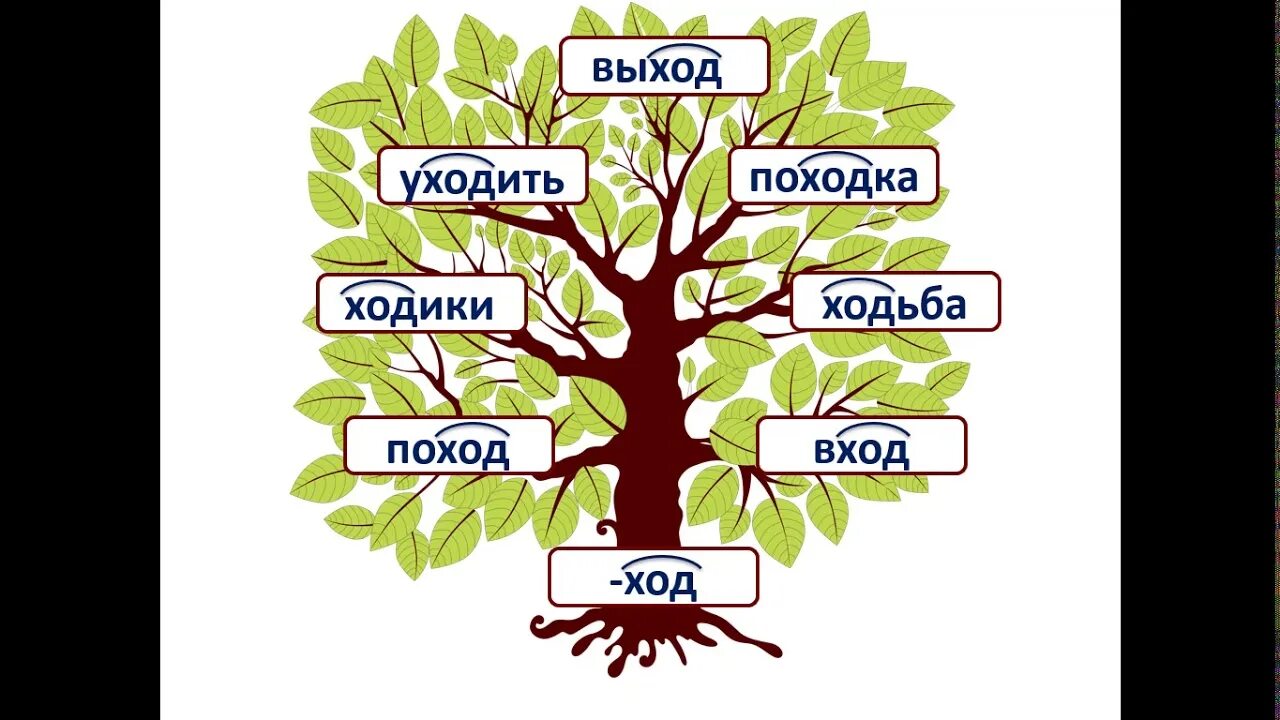 Корень в слове семью. Дерево с однокоренными словами. Дерево родственных слов. Дерево из одноклреннвх СДОП. Проект дерево с однокоренными словами.