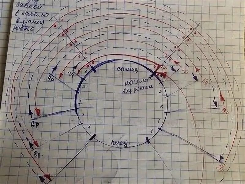 Росток схема вязания. Азиатский росток спицами реглан сверху. Вывязывание ростка в реглане. Вывязывание ростка в реглане сверху. Реглан сверху 80 петель росток.