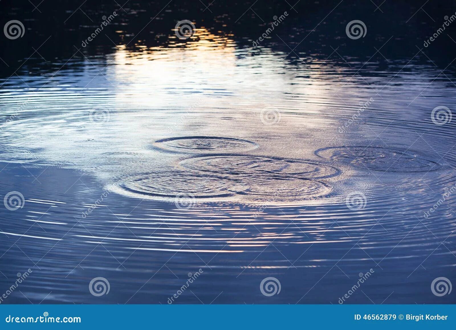 Круги на воде чья. Круги на воде. Картина круги на воде. Круги на воде озеро. Круги на луже.