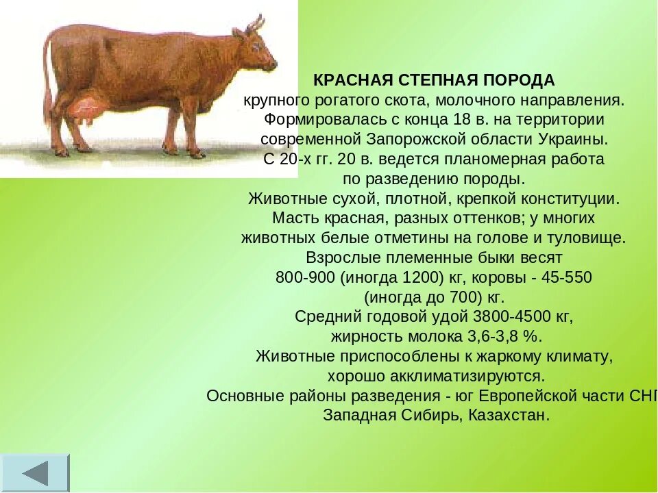 Сообщение о сельскохозяйственном животном 3 класс окружающий
