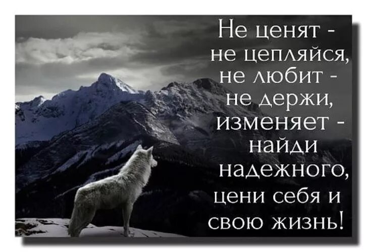 Картинка любите цените. Надо ценить себя. Цени себя цитаты. Люби себя цитаты. Надо себя любить и уважать цитаты.