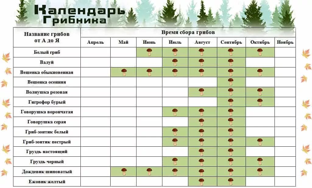 Грибы с какого возраста можно давать детям. Таблица сбора грибов по месяцам. График сбора грибов по месяцам. Таблица грибов когда растут. Сезонность грибов таблица.