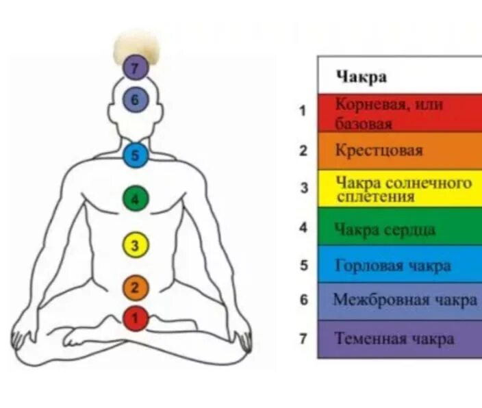 Энергетические центры человека схема расположения. Чакры человека схема и описание. Железы внутренней секреции и чакры человека. 12 Чакровая система человека. Чакры названия и расположение