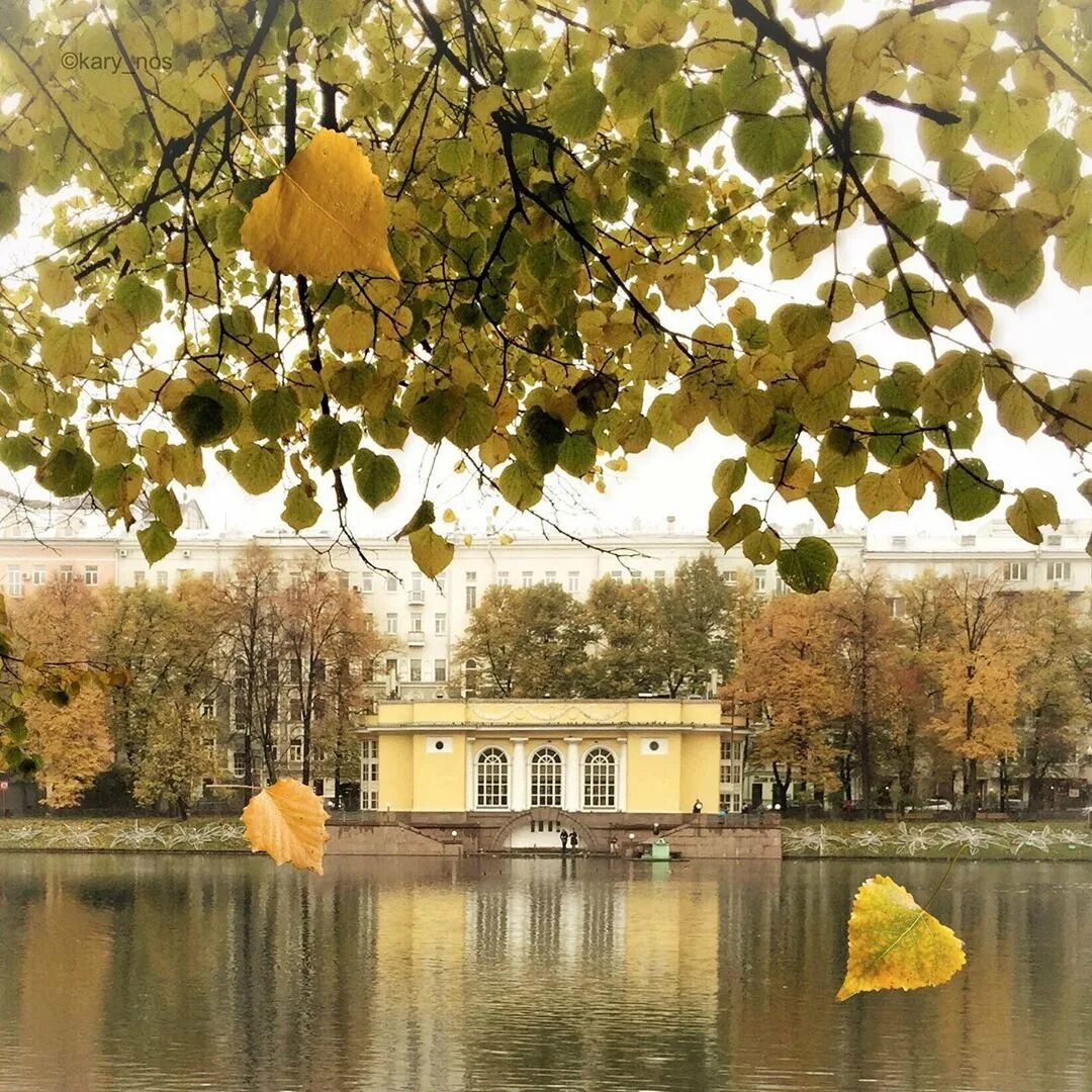 Как назывались патриаршие пруды. Патриаршие пруды москва. патриаршие пруды пруд. патриаршие пруды москва осенью. сквер патриаршие пруды.