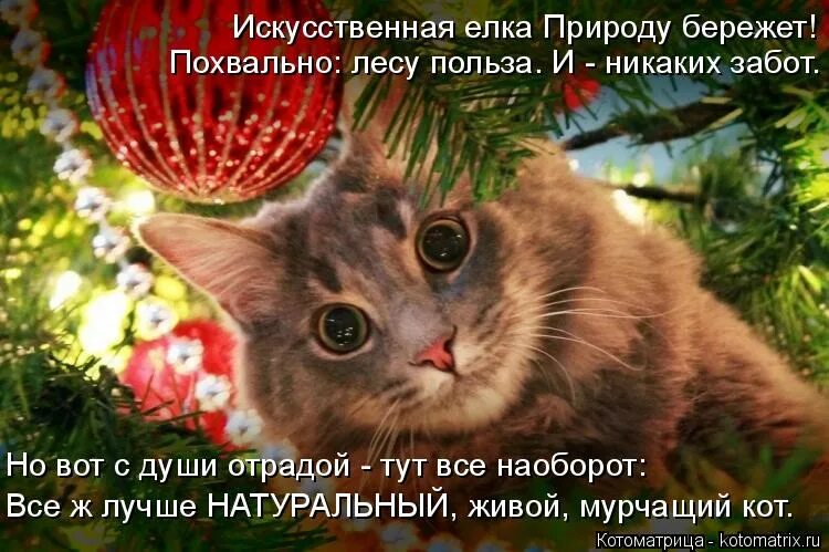 никаких забот. милый когда мы поженимся я буду делить с тобой. эротическая суббота есть суббота и никаких забот. жениться надо по любви я ведь люблю эту старую клюшку. суббота есть суббота и никаких забот.