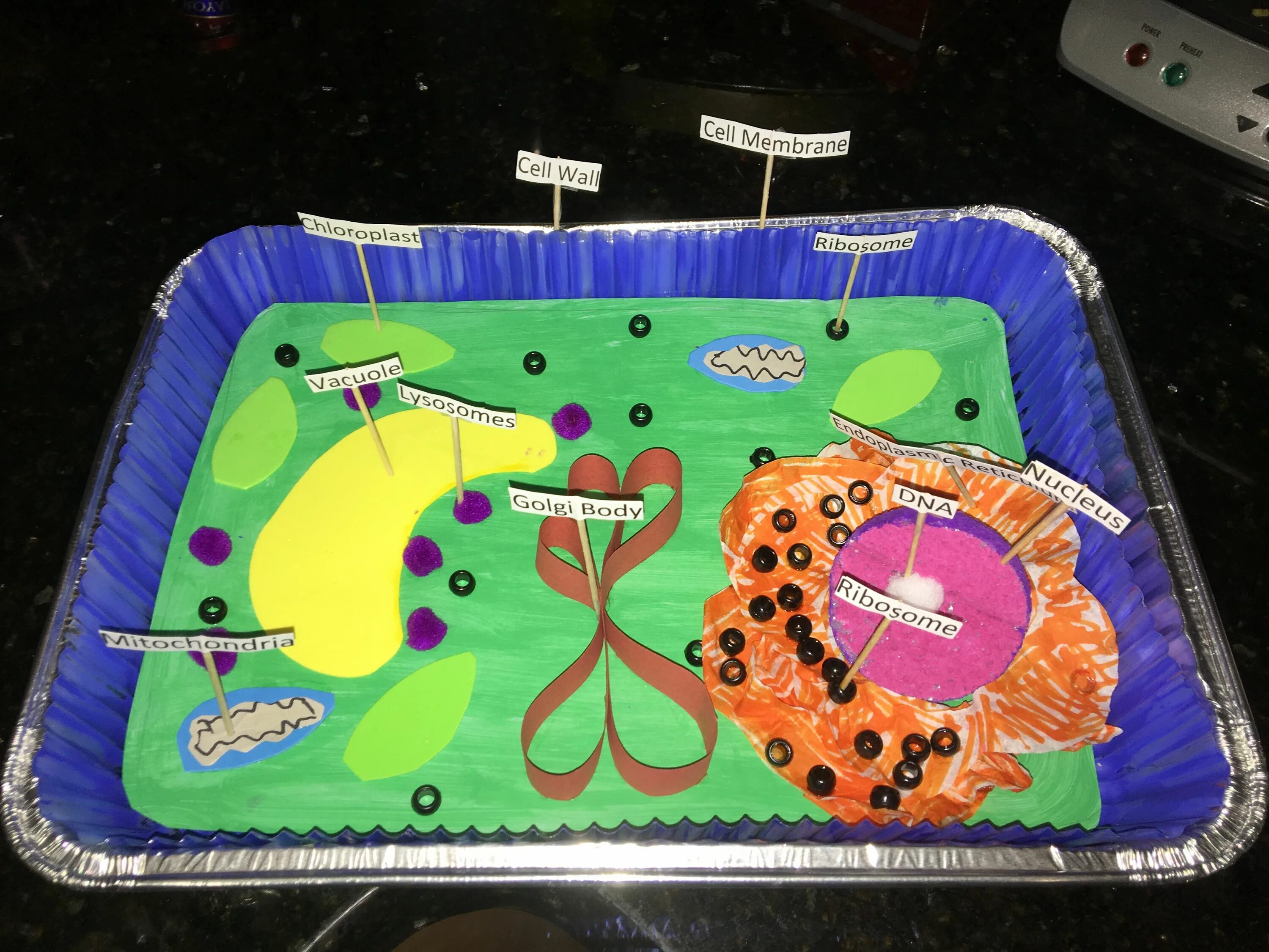 Cell project