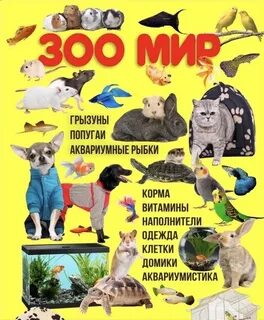 Зоомир ишим