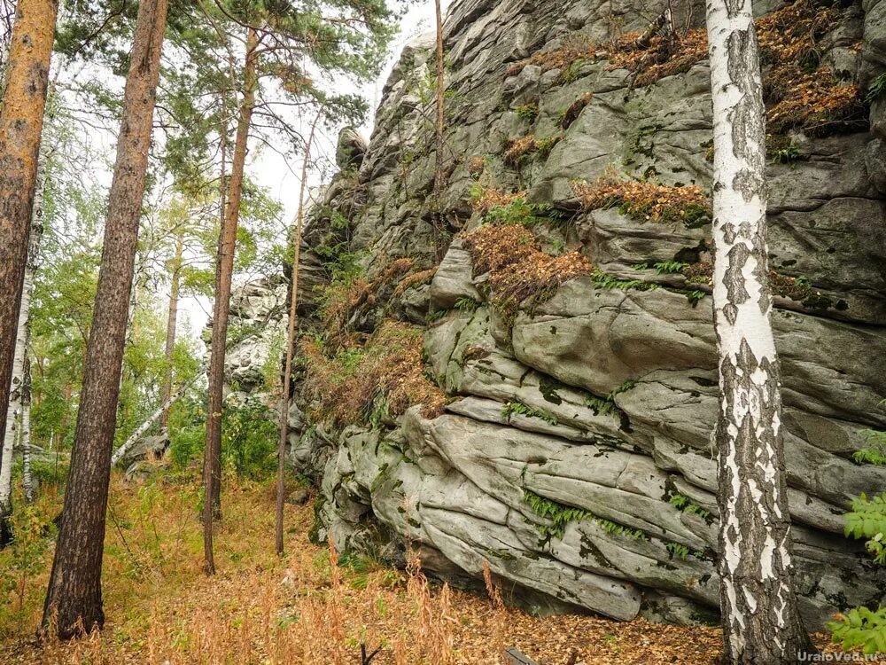 Авто городищи. Чертово городище урал. Княжья гора новгородская область. Скалы чертово городище екатеринбург. Древняя рязань городище.