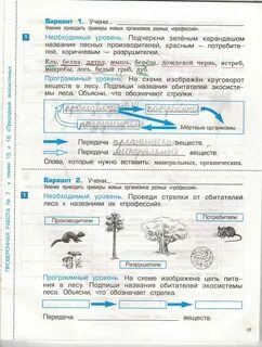 Рабочие листы по окр миру 3 класс
