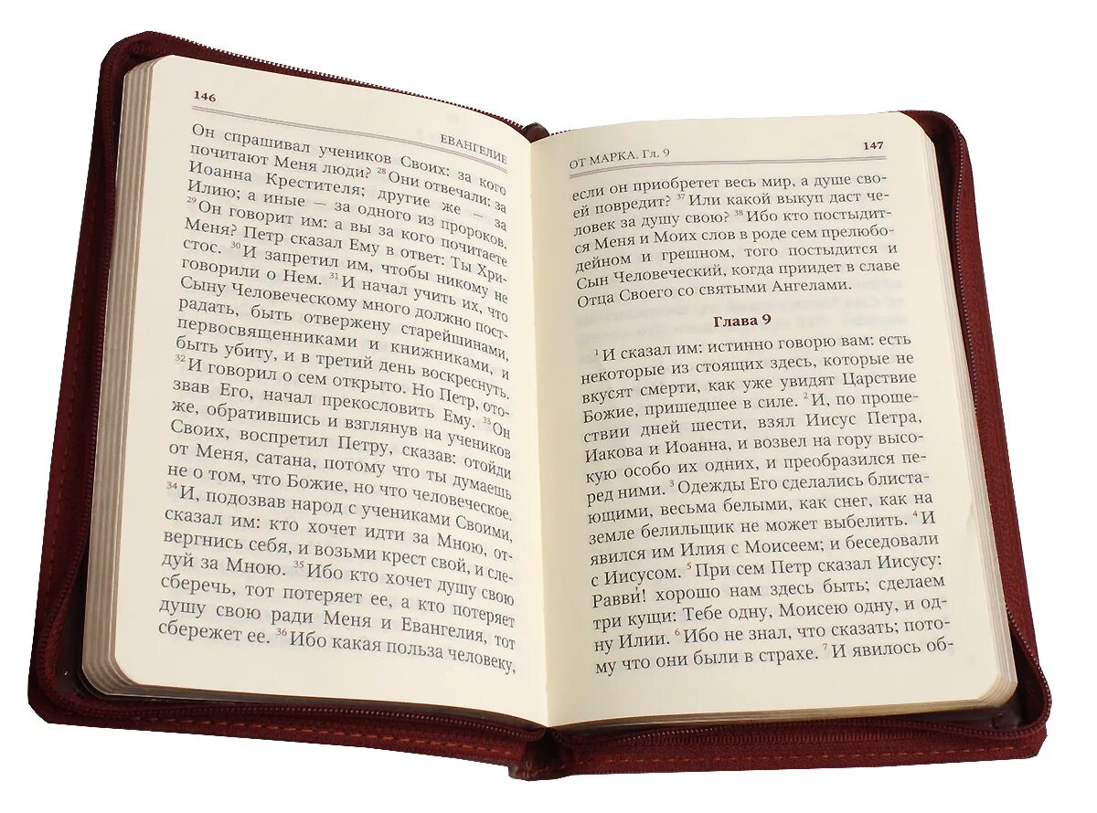 Псалтырь читать 50 90. Псалтырь 35. Псалом 35. Псалом 71. Евангелие в кожаном переплете на молнии.