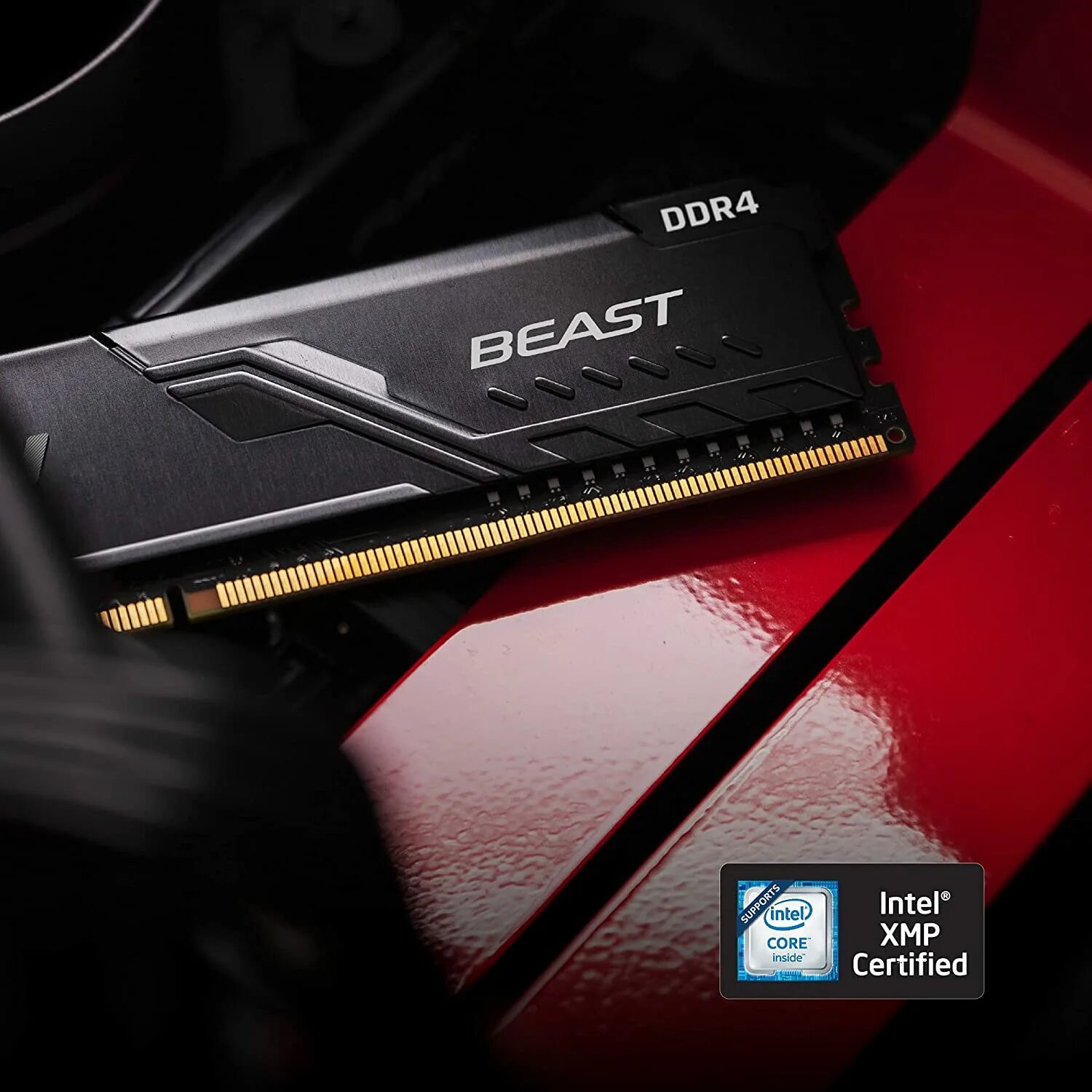 Fury beast ddr4 16gb. Kingston fury beast ddr4. kingston fury beast ddr4 2x8gb. kingston fury beast ddr4 8gb. kingston fury beast ddr4 2x16gb.