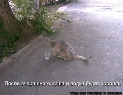 После пройденного